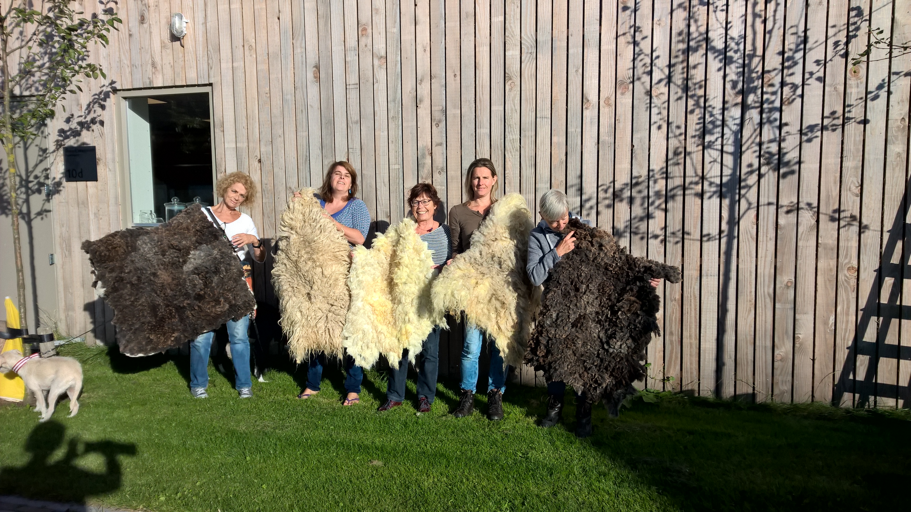 Workshop vacht vilten