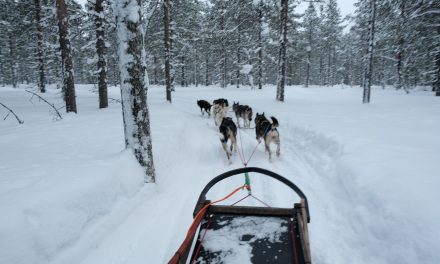 Nordic winter: een reis naar Lapland