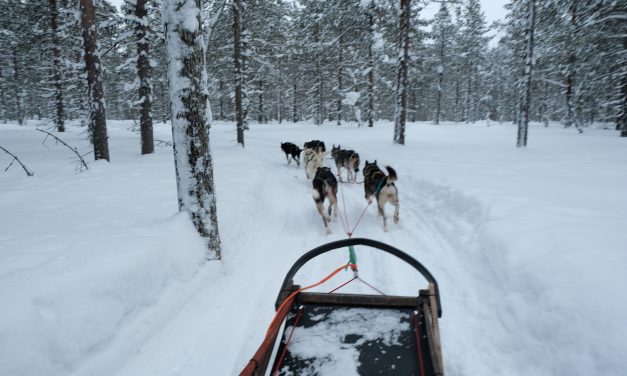 Nordic winter: een reis naar Lapland