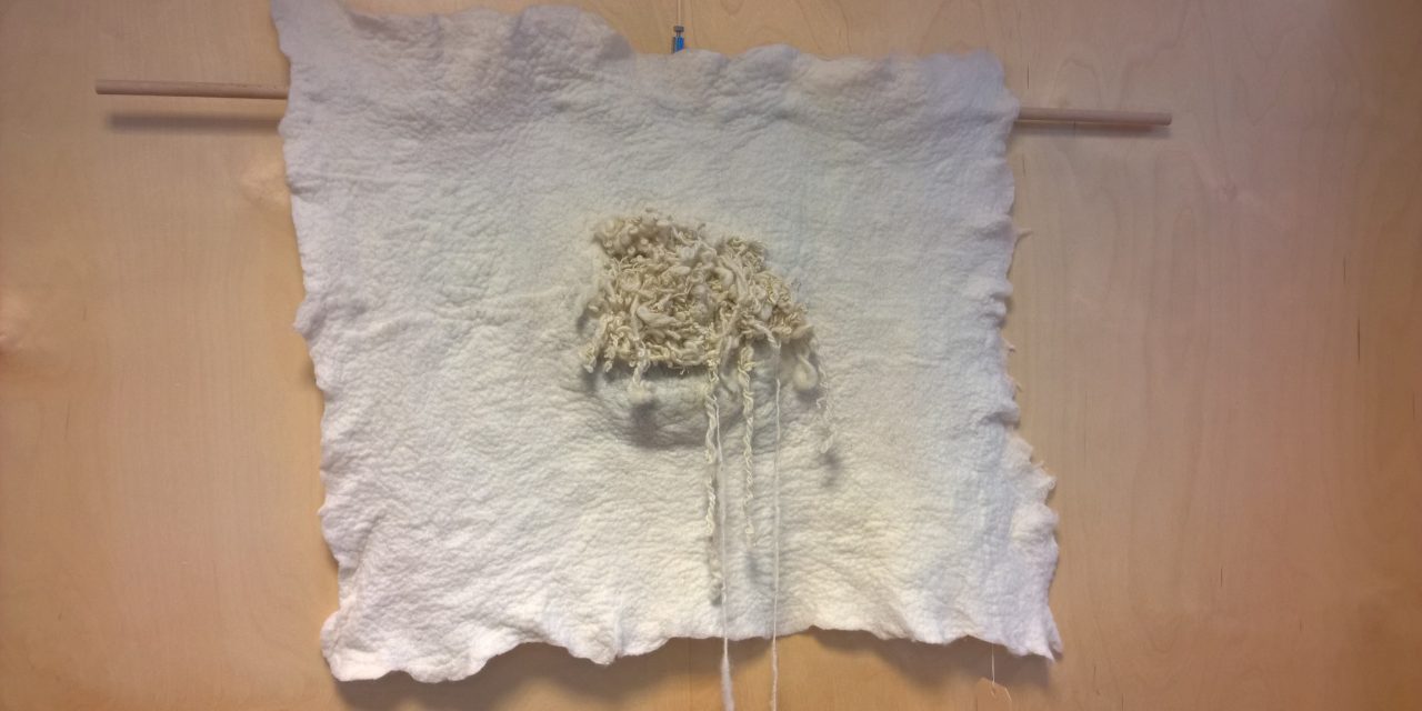 Expositie beeldend werk – vilt