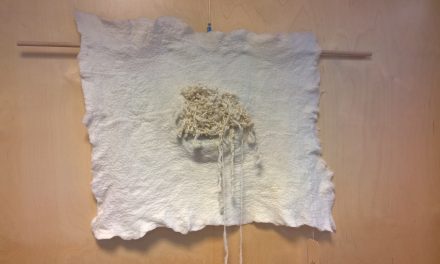Expositie beeldend werk – vilt