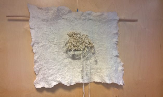 Expositie beeldend werk – vilt