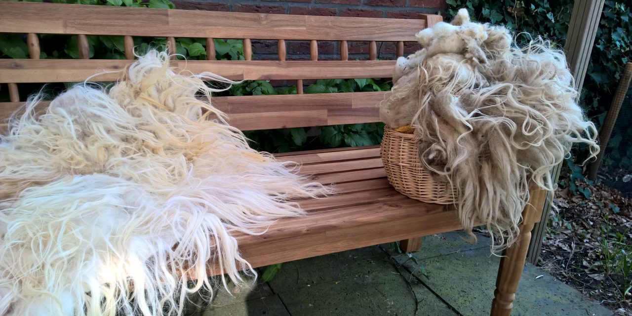Schapenvacht vilten: vilten met pure wol