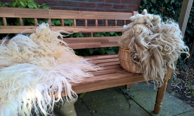 Schapenvacht vilten: vilten met pure wol
