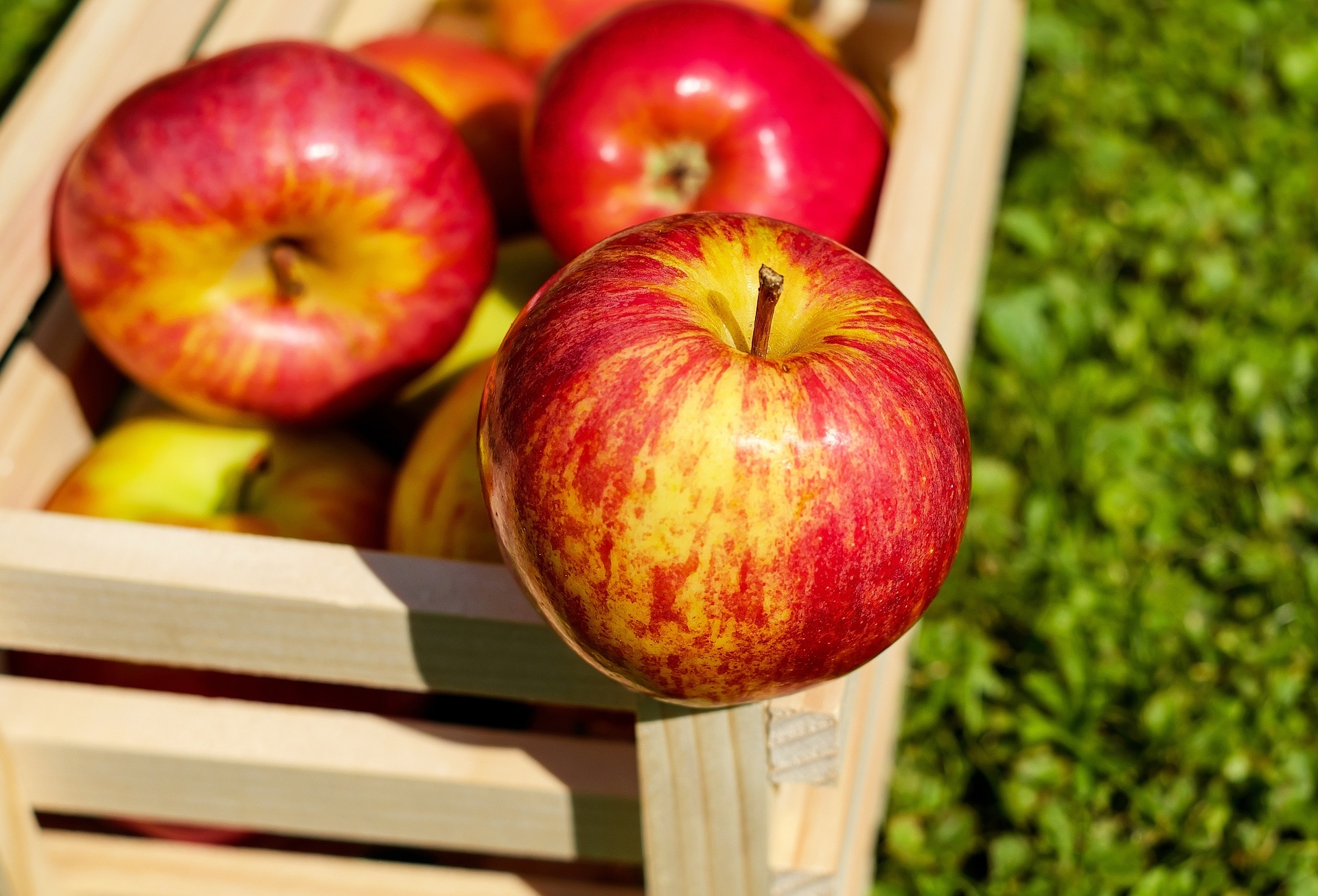 Workshop cider maken
