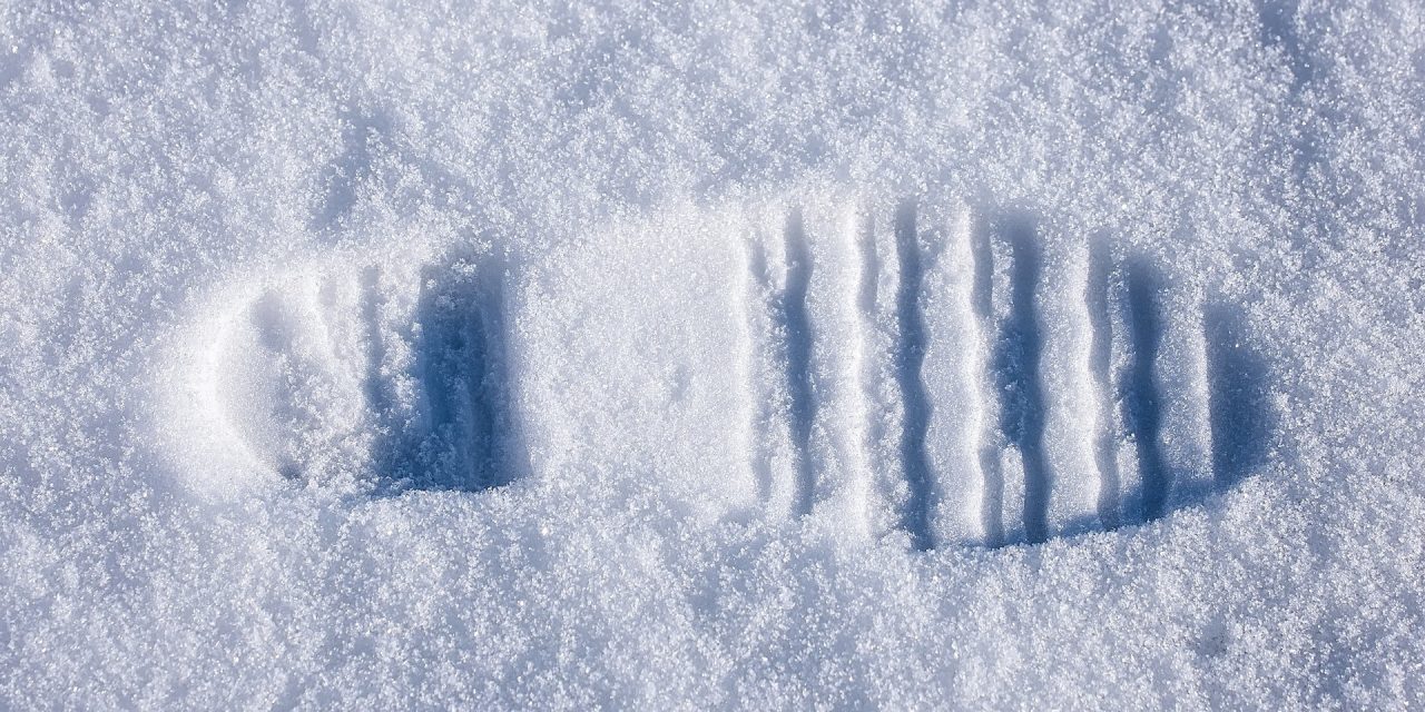 Avontuur in de sneeuw