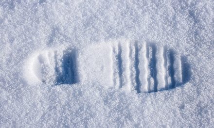 Avontuur in de sneeuw
