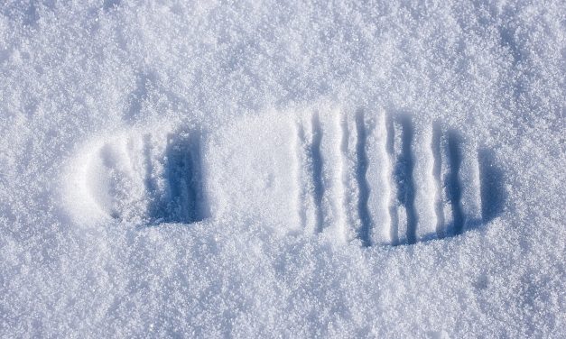 Avontuur in de sneeuw