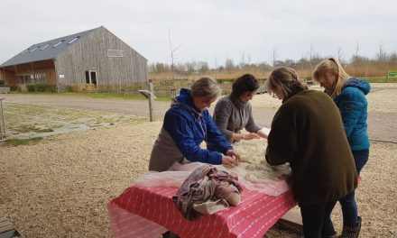Dag van de aarde