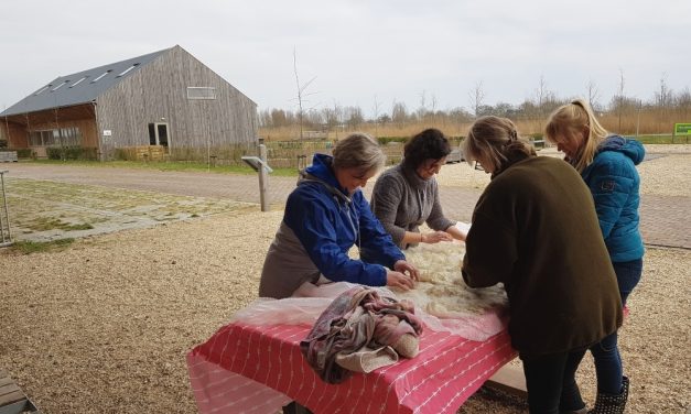 Dag van de aarde