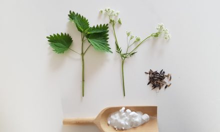 Plantaardig verven: kleur uit planten