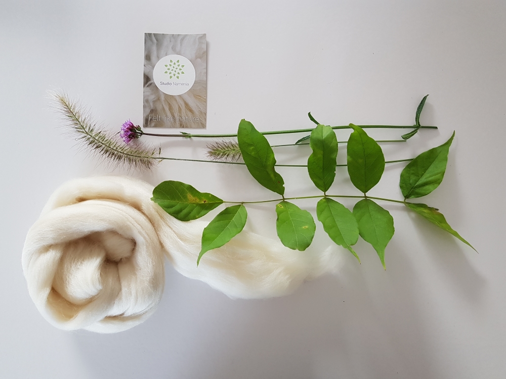Workshop botanisch vilt