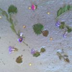 Workshop papier maken