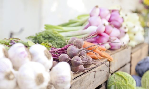 Nieuw: Workshop fermenteren en inmaken (met groenten)