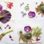 Eco print: wonderlijke afdrukken van de natuur