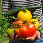 Kinderworkshop: Koken uit de Moestuin (besloten groep)
