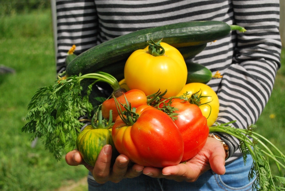 Kinderworkshop: Koken uit de Moestuin (besloten groep)
