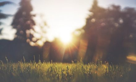 Zachte septemberzon – buiteninspiratie