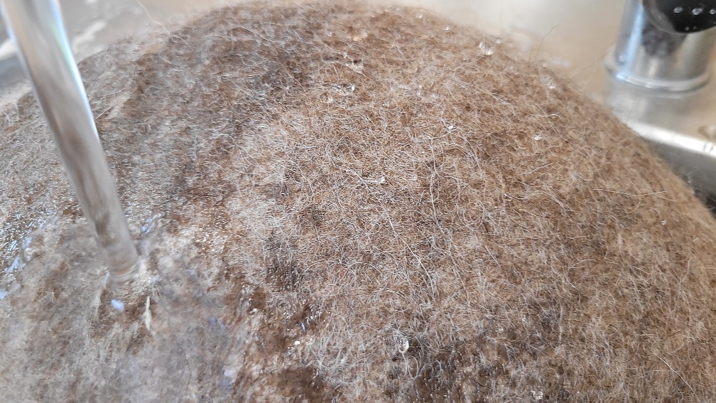 Op naar een nieuw begin