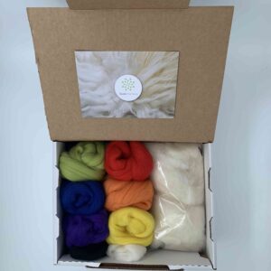 Startpakket naaldvilten voor droog vilten / naaldvilten / prikvilten - Regenboog