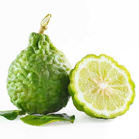 Etherische olie Bergamot - Afbeelding 2