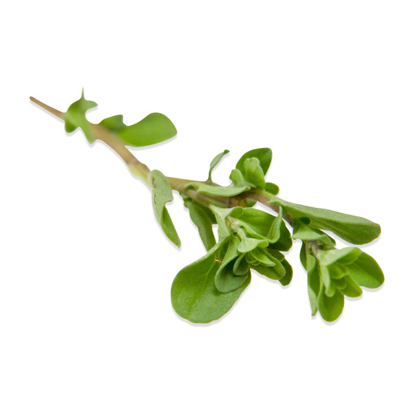 Etherische olie Marjolein - Afbeelding 2