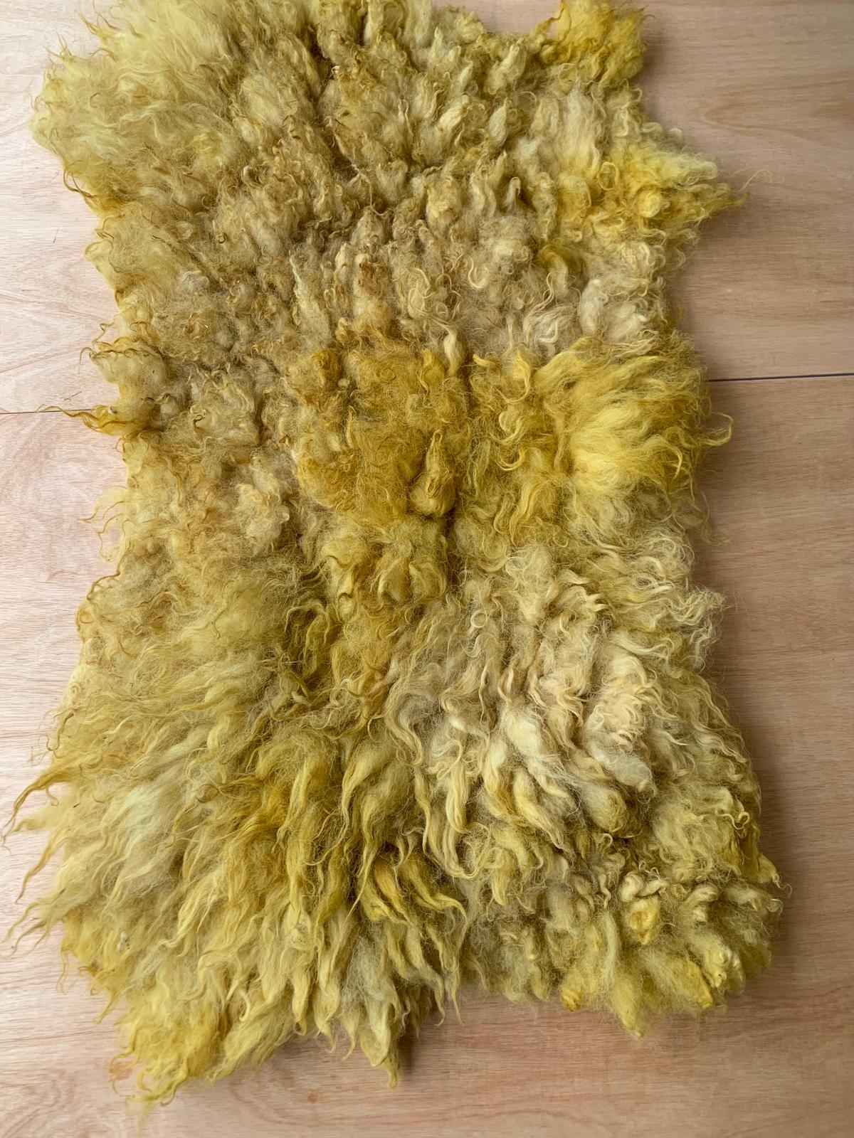 Schapenvacht Golden glow - Afbeelding 4