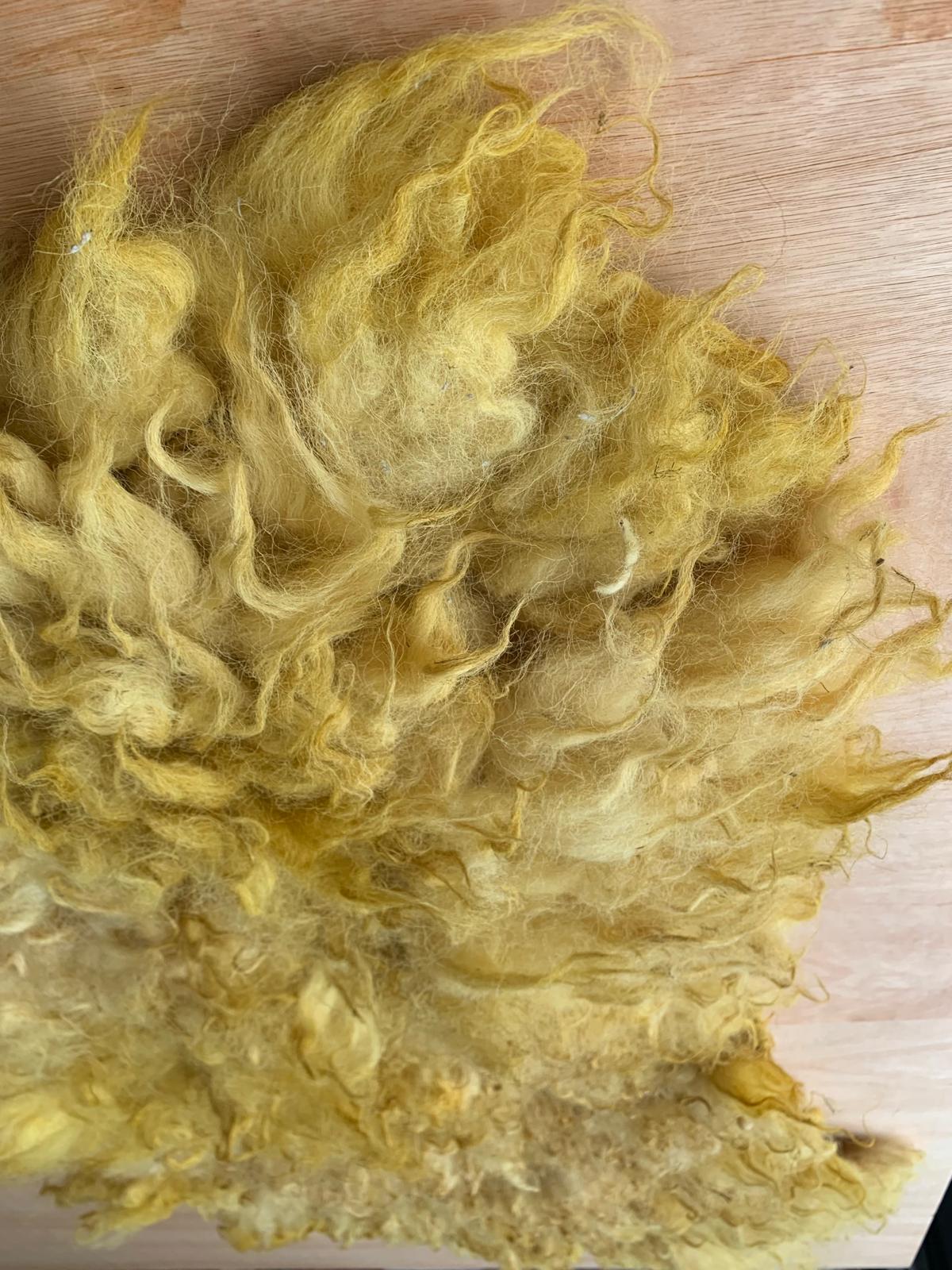 Schapenvacht Golden glow - Afbeelding 2