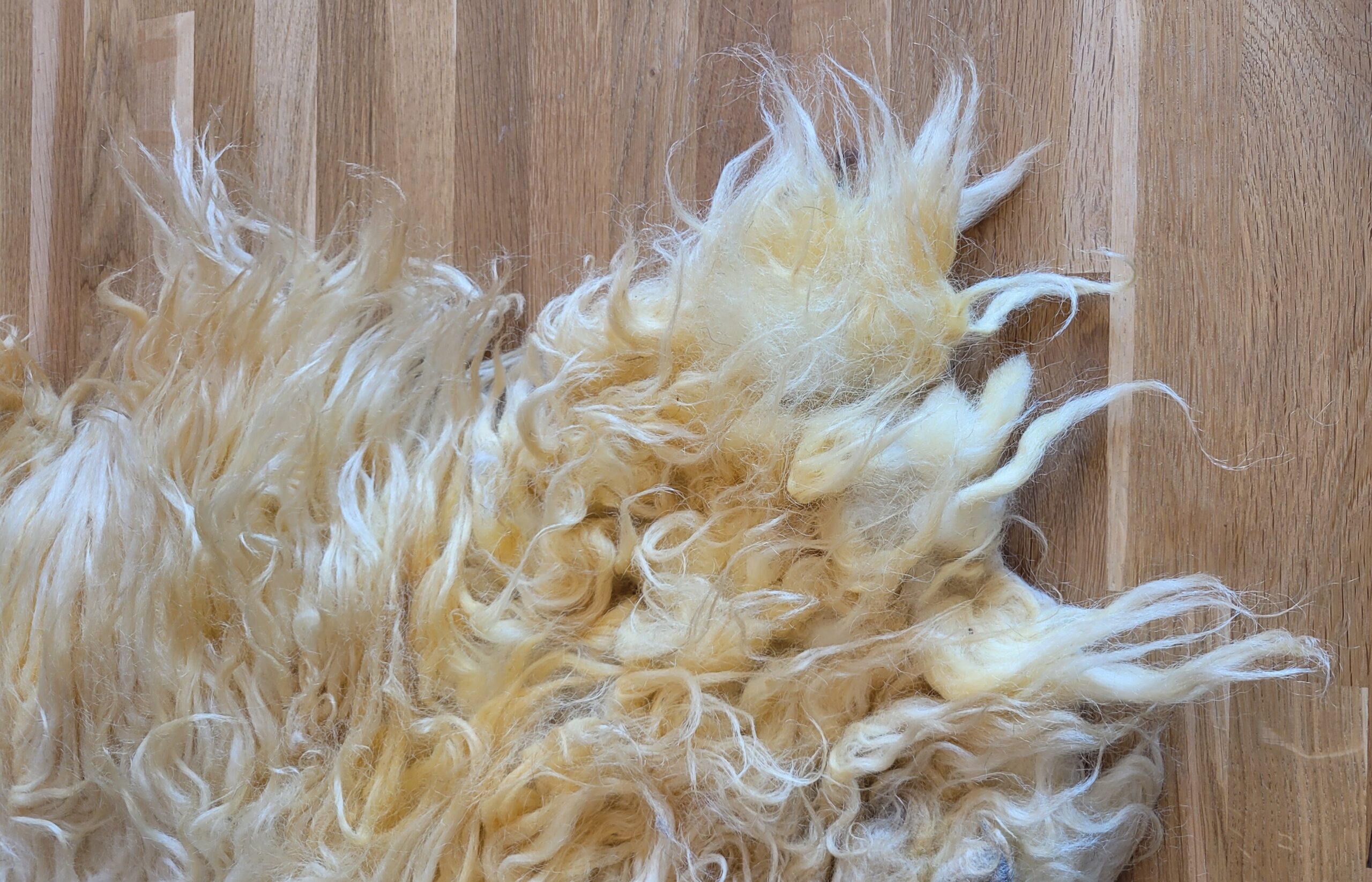 Schapenvacht Alison Ginger 100 x 130 - Afbeelding 3