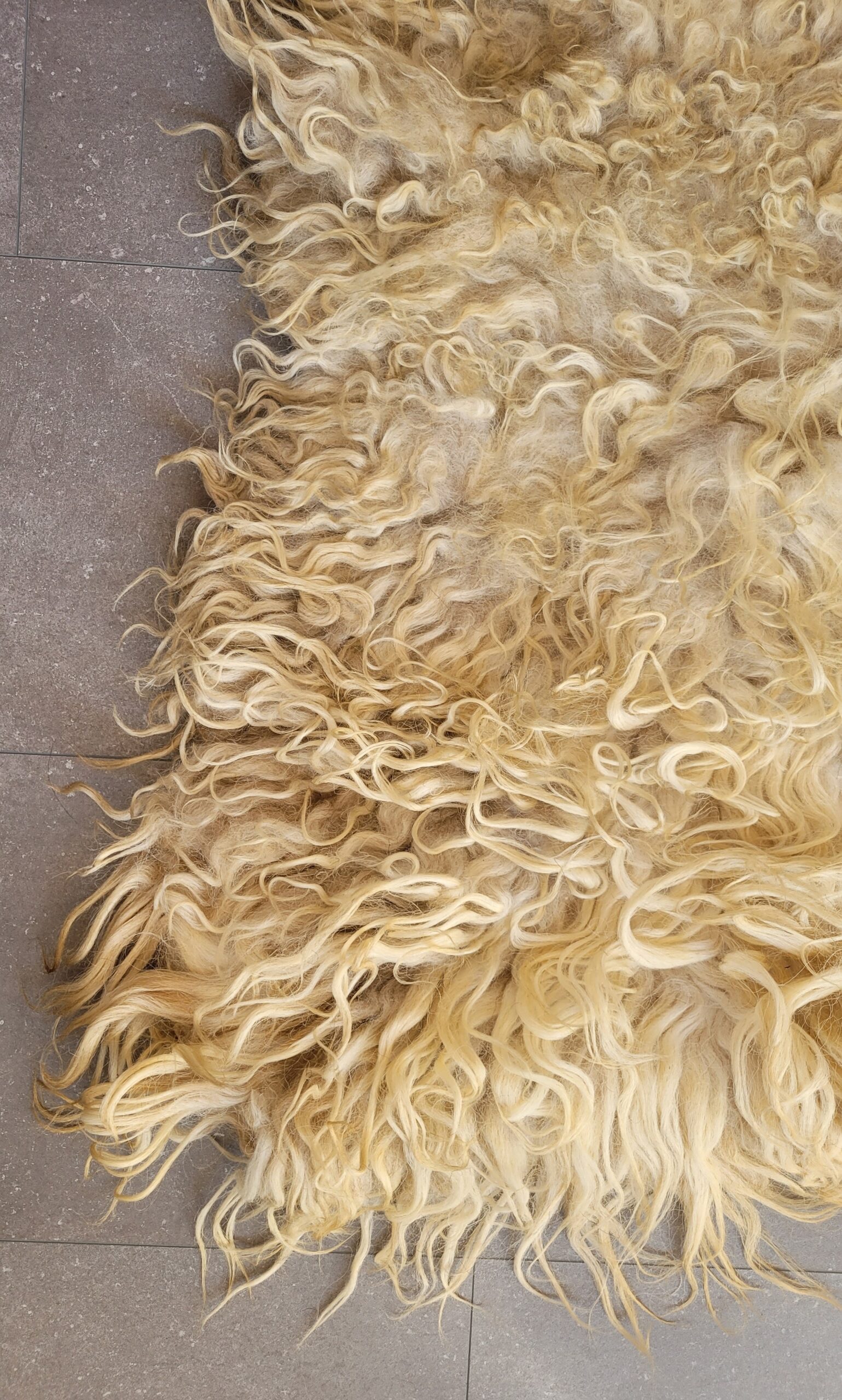 Schapenvacht Alison Golden Fleece 100 x 150 - Afbeelding 3