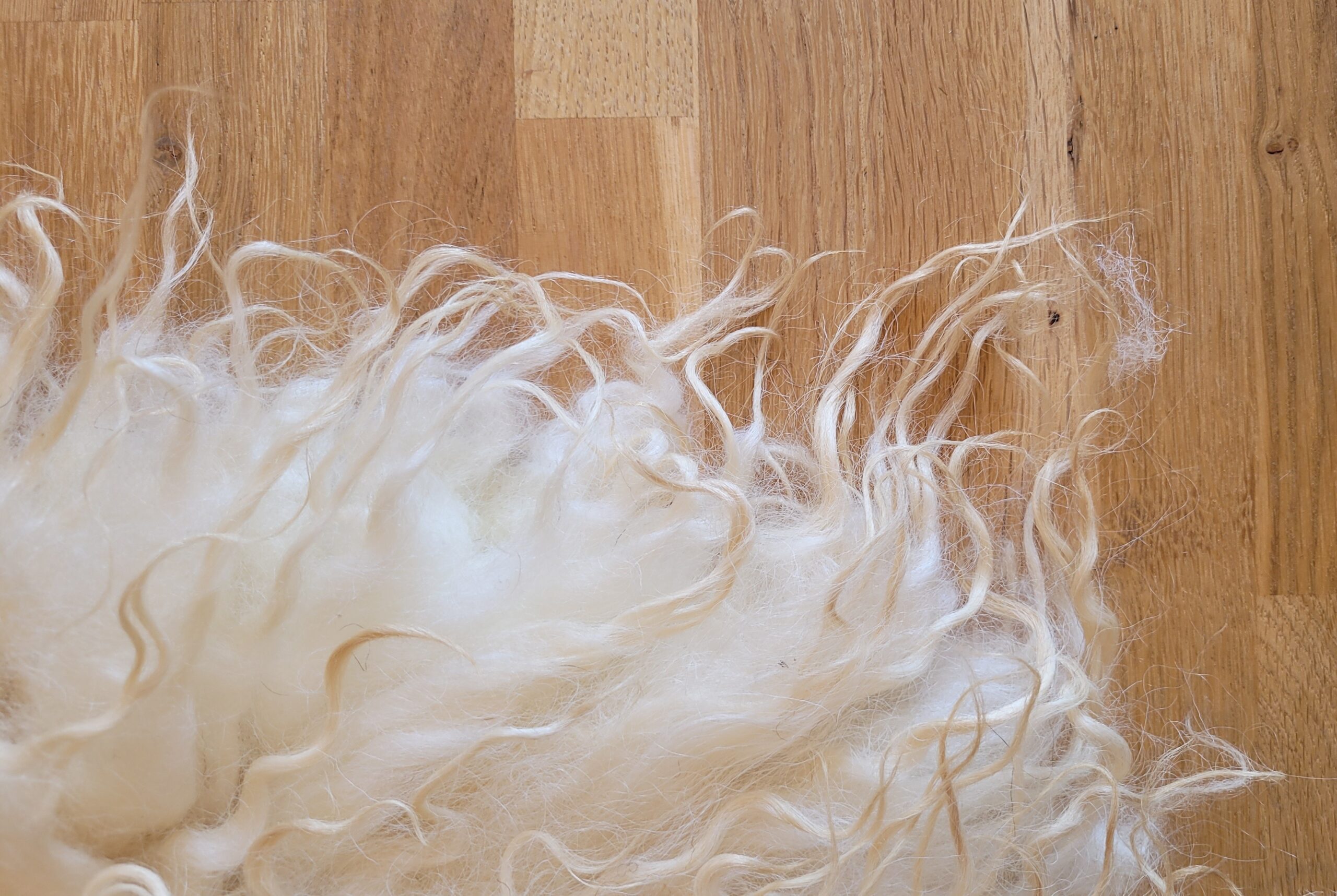 Schapenvacht Golden Fleece 50 x 70 - Afbeelding 3