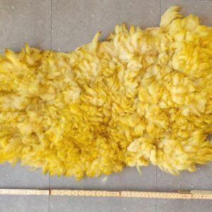 Schapenvacht Rapeseed Flower 70 x 35
