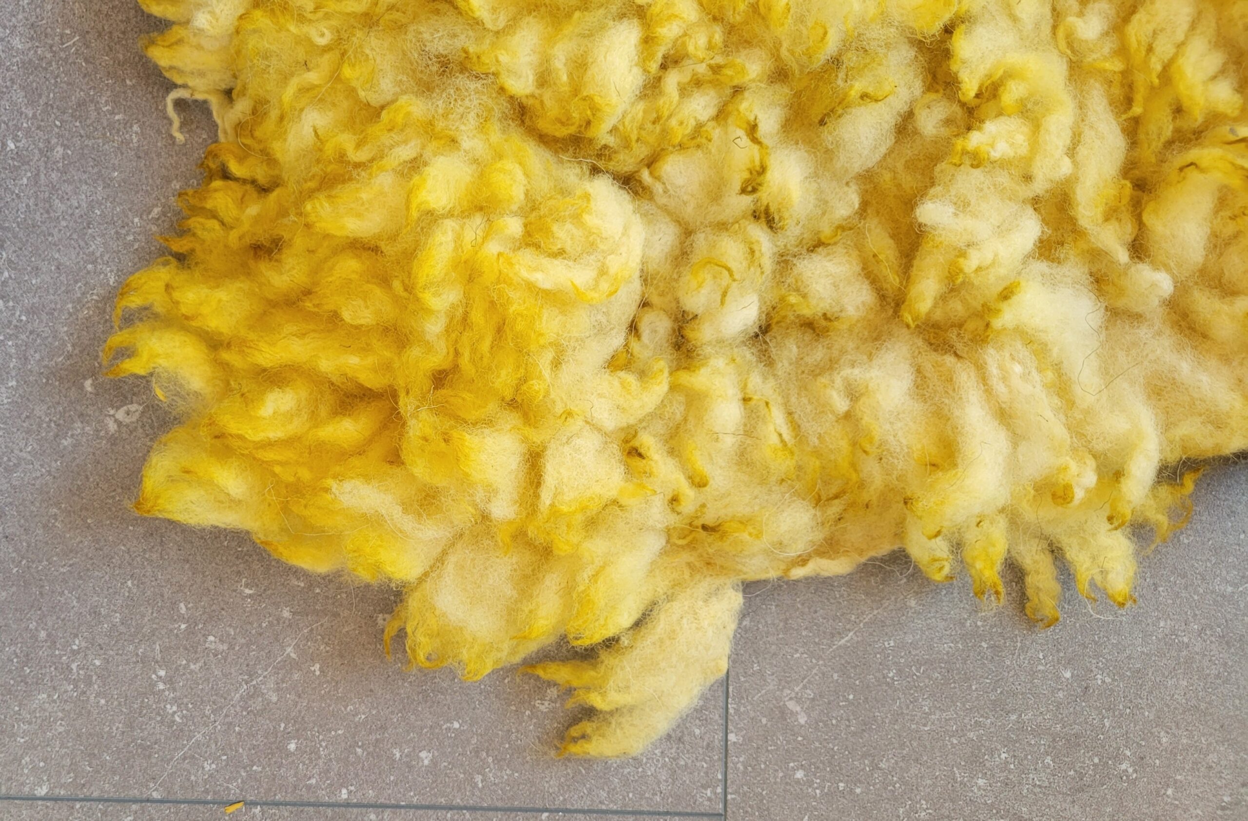 Schapenvacht Rapeseed Flower 70 x 35 - Afbeelding 2